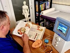 Auriculoterapie - Tratamente alternative, Biorezonanta